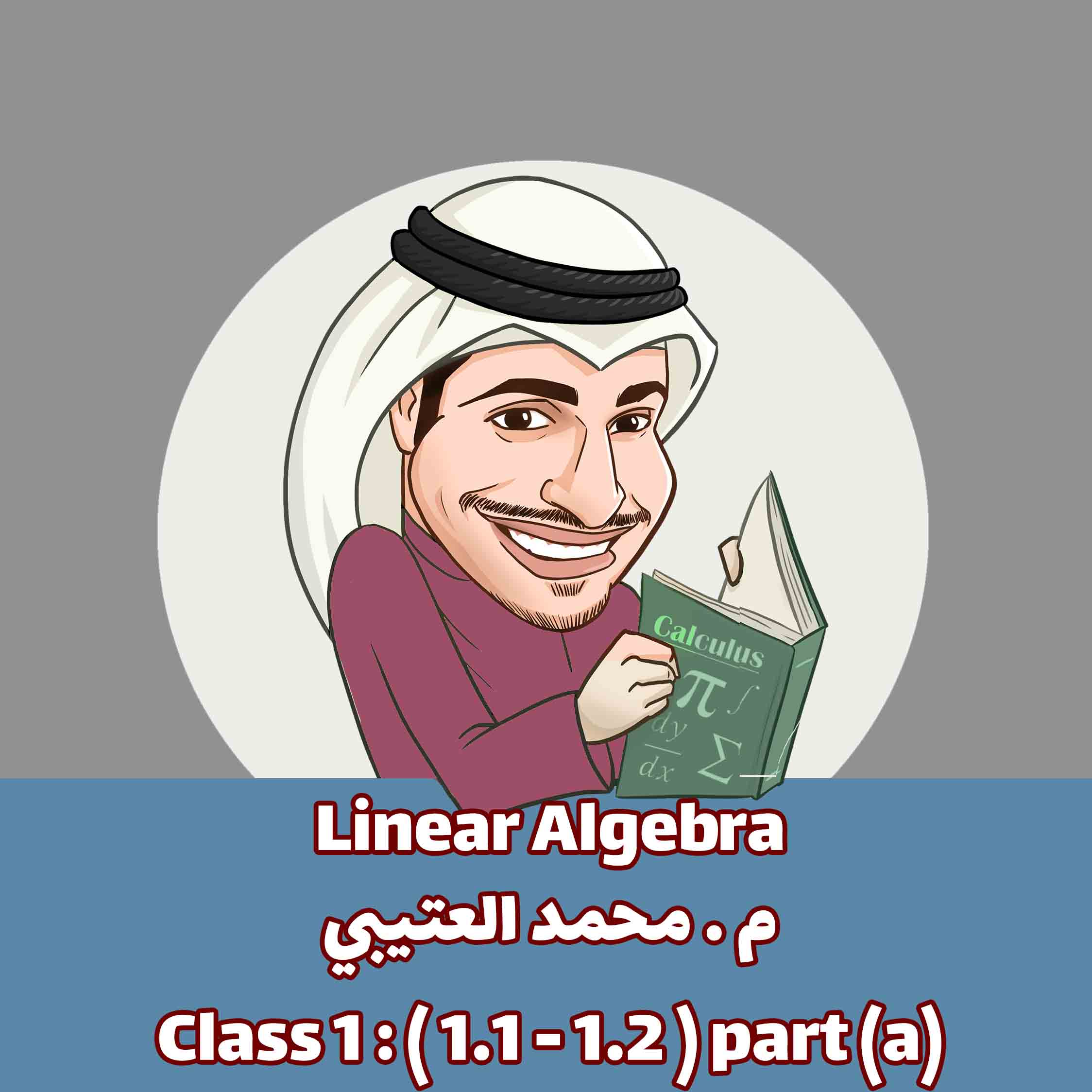 AMM-linear Algebra-Class 1 : ( 1.1 - 1.2 ) part (a