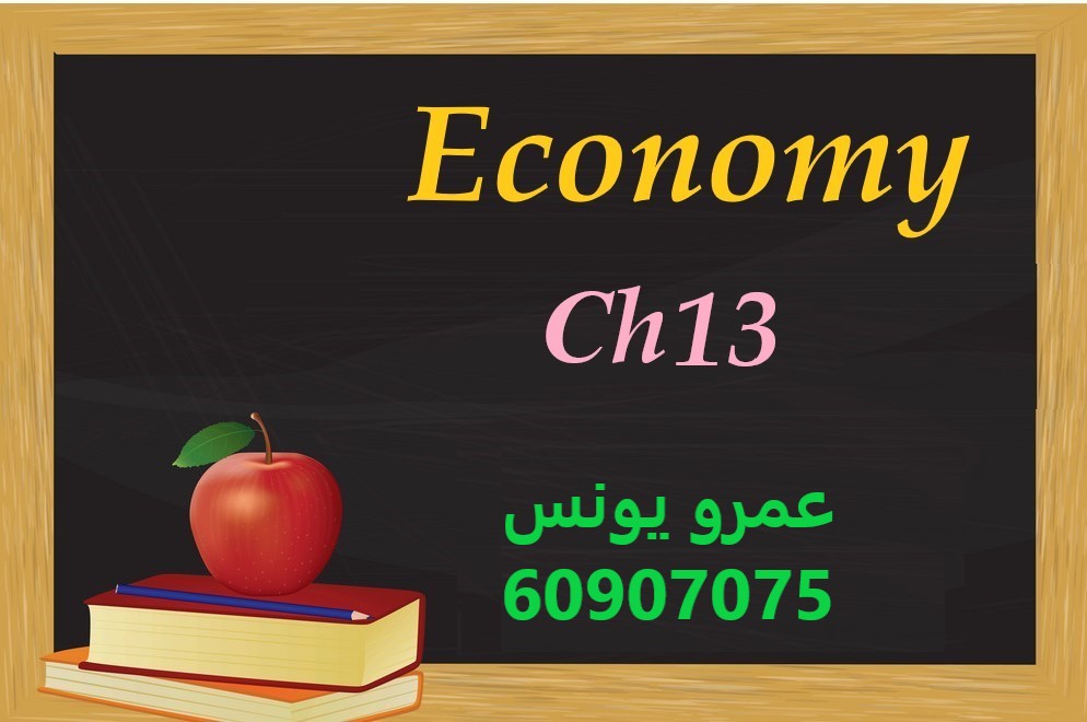Economy - Chapter 13