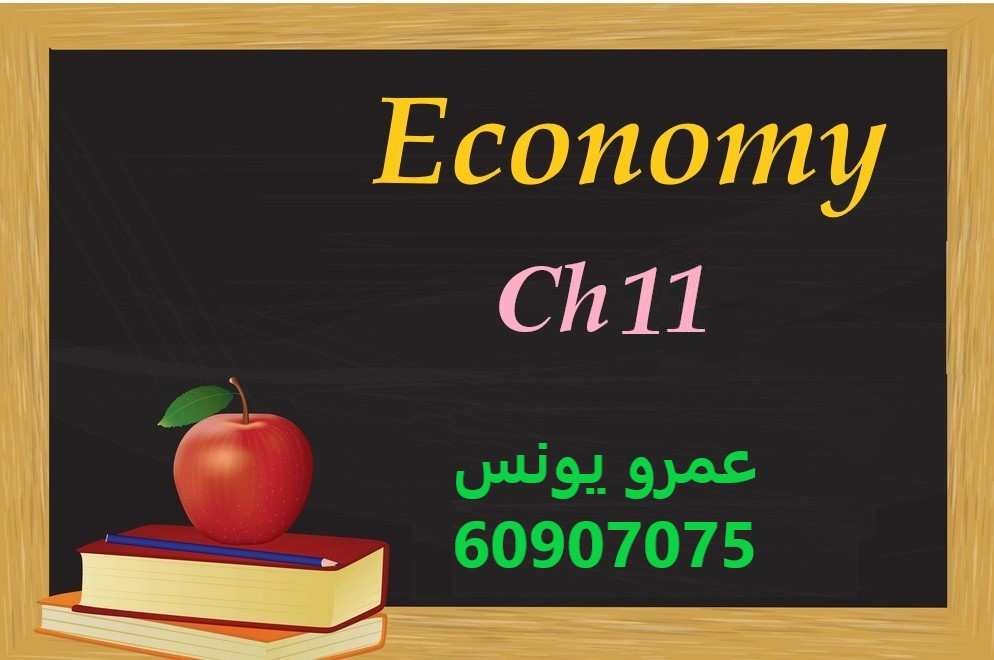 Economy -  Ch 11 - Replacement
