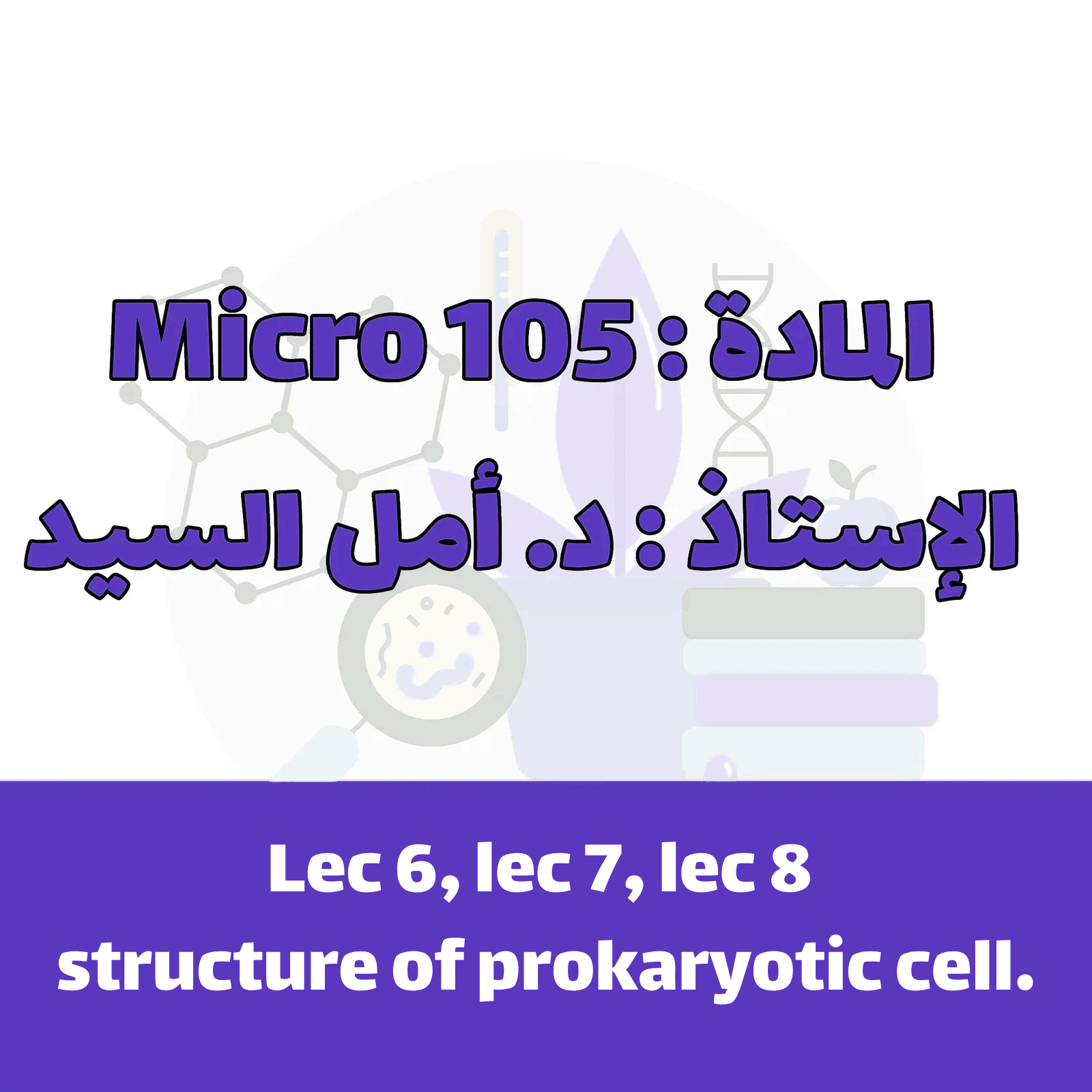 lecture 6&7&8