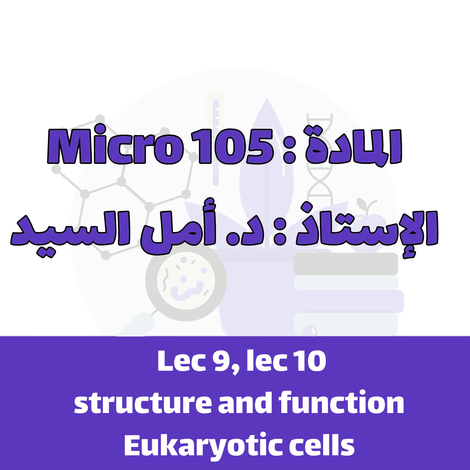 lecture 9&10