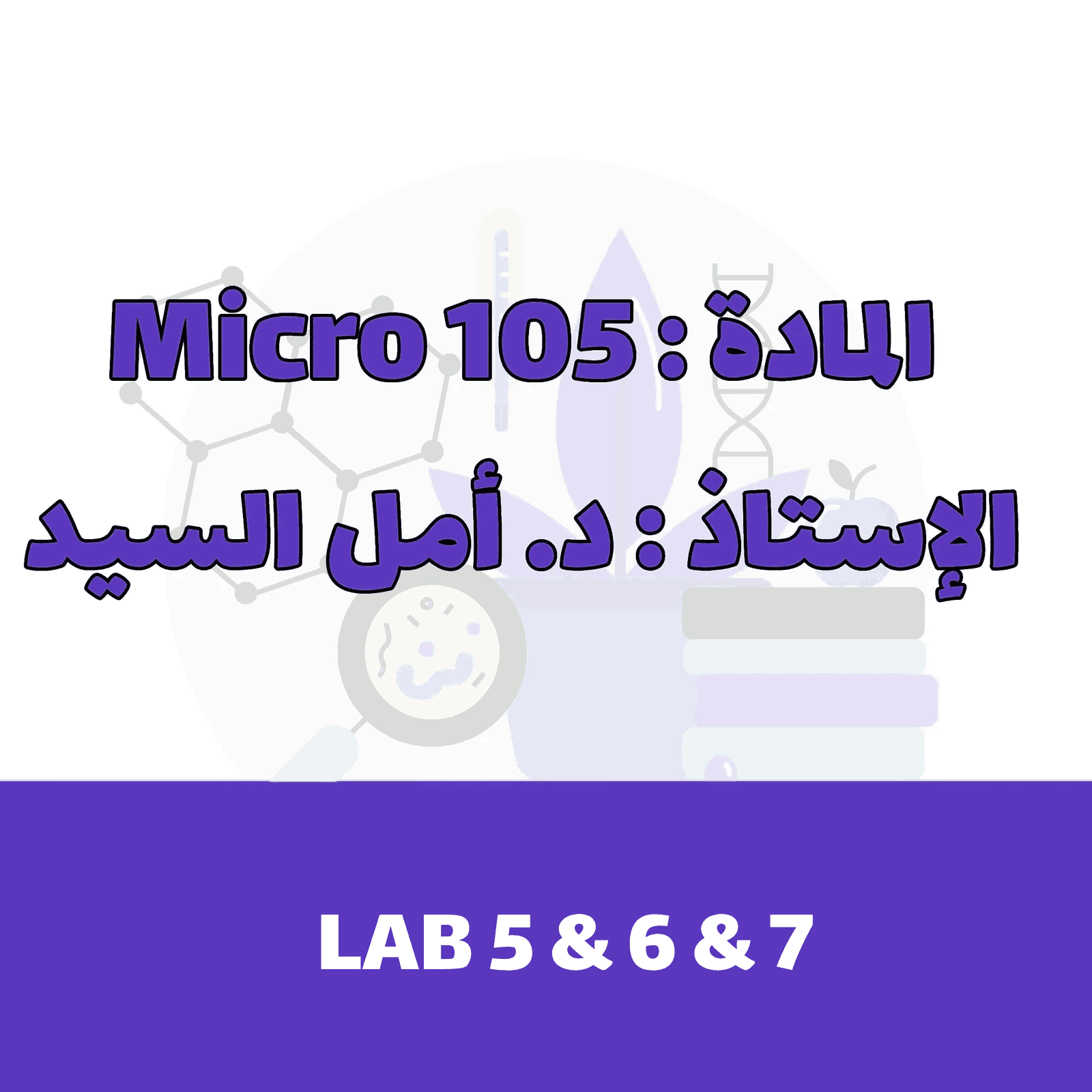 LAB PART 5 & 6 & 7