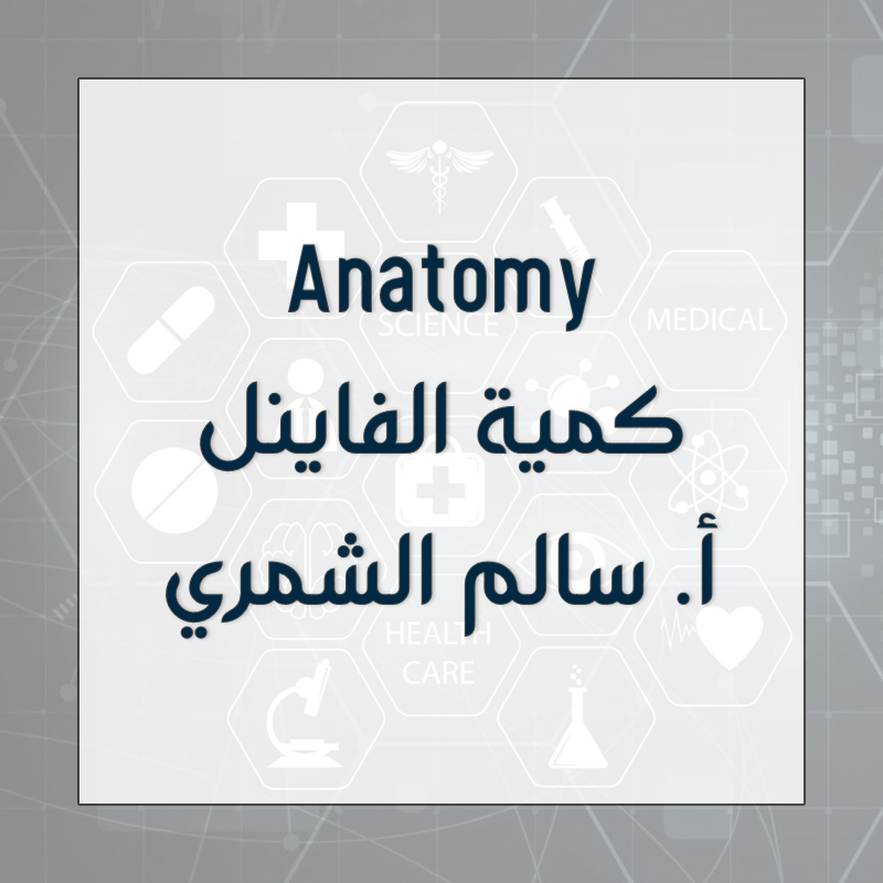 Anatomy - Final